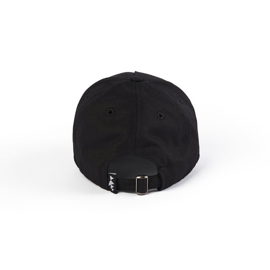 Back of Black Cap
