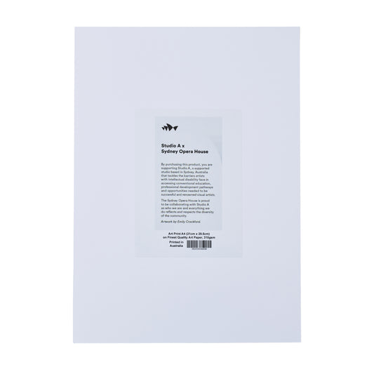 Firework Rainbow Reflection Art Print A4 by Emily Crockford