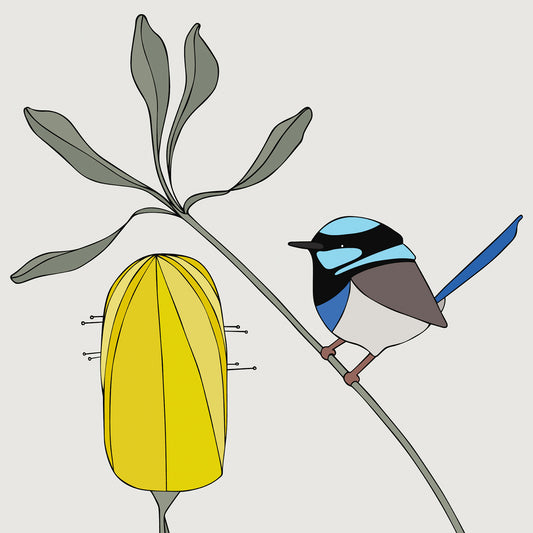 Art print - Superb Fairy-wren and Banksia