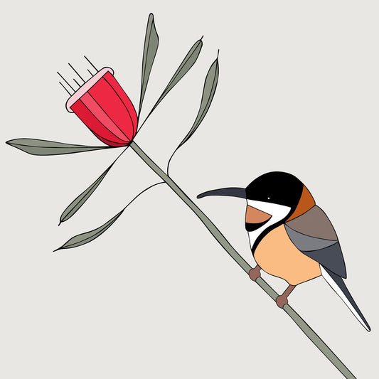 艺术版画 - Eastern Spinebill and Mountain Devil