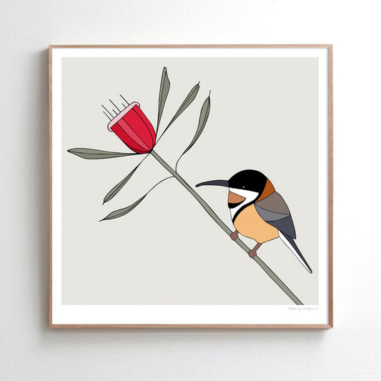 Art print - Eastern Spinebill and Mountain Devil
