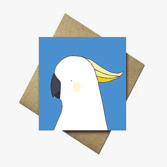Mixed Greeting Card Pack of Five Australian Birds