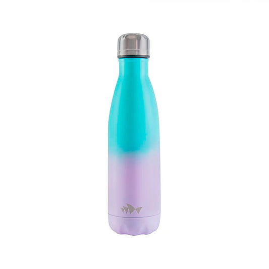 Reusable Stainless Steel Water Bottle