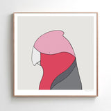 Art print - Galah