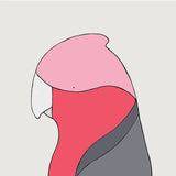 艺术版画 - 粉红凤头鹦鹉