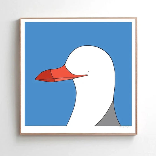 Art print - Silver Gull